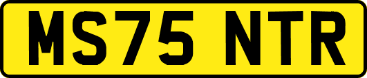 MS75NTR