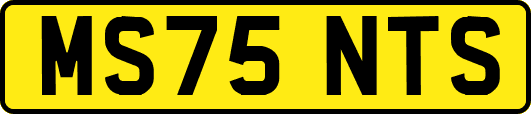 MS75NTS