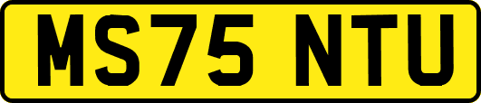 MS75NTU
