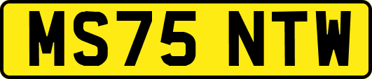 MS75NTW