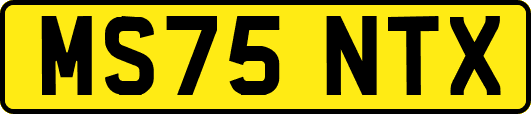 MS75NTX