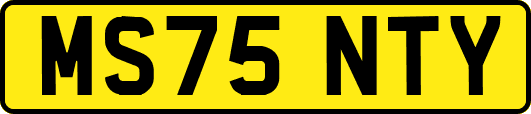 MS75NTY