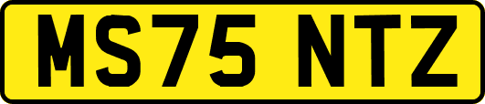 MS75NTZ