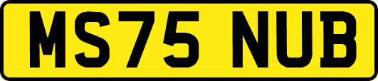 MS75NUB