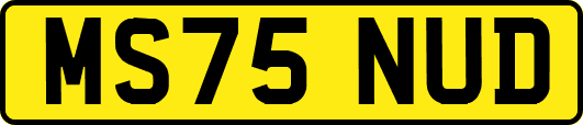 MS75NUD