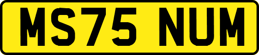 MS75NUM