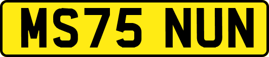 MS75NUN