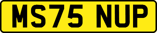 MS75NUP