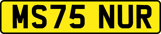 MS75NUR