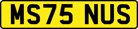 MS75NUS