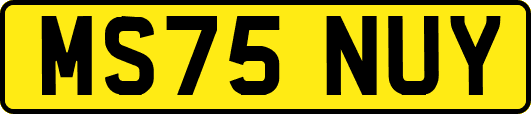 MS75NUY