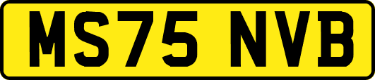 MS75NVB