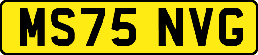 MS75NVG