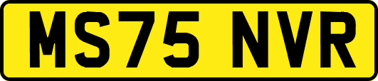 MS75NVR