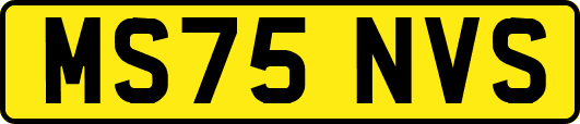 MS75NVS