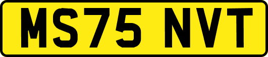 MS75NVT