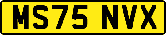MS75NVX