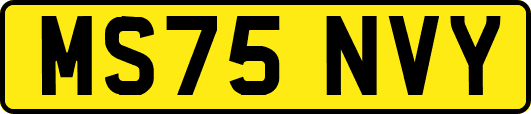 MS75NVY
