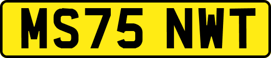 MS75NWT