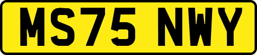 MS75NWY