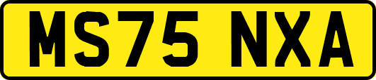 MS75NXA