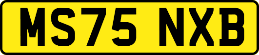 MS75NXB