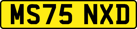 MS75NXD