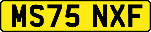 MS75NXF