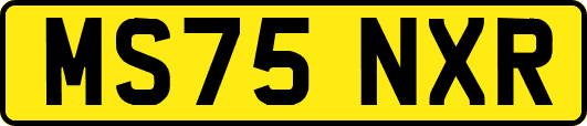 MS75NXR