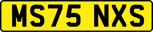 MS75NXS
