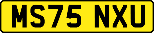 MS75NXU