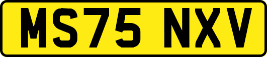 MS75NXV