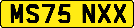 MS75NXX