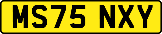 MS75NXY