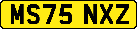 MS75NXZ