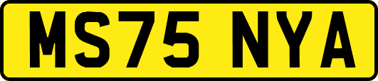 MS75NYA