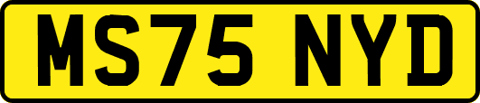 MS75NYD