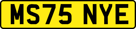 MS75NYE