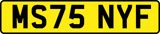 MS75NYF