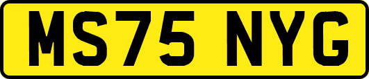 MS75NYG