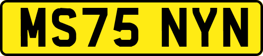 MS75NYN