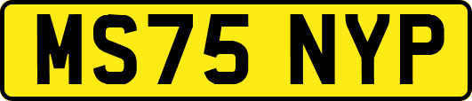 MS75NYP