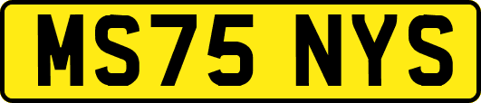 MS75NYS