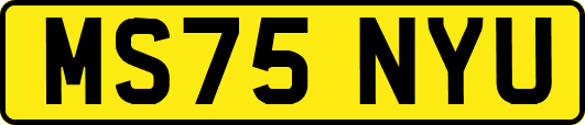 MS75NYU