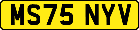 MS75NYV