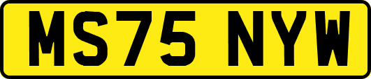 MS75NYW