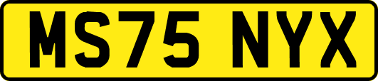 MS75NYX
