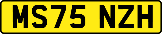MS75NZH