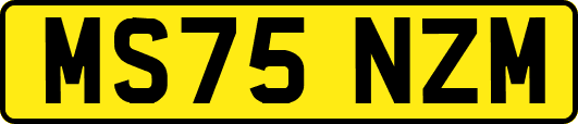MS75NZM