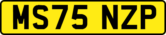 MS75NZP